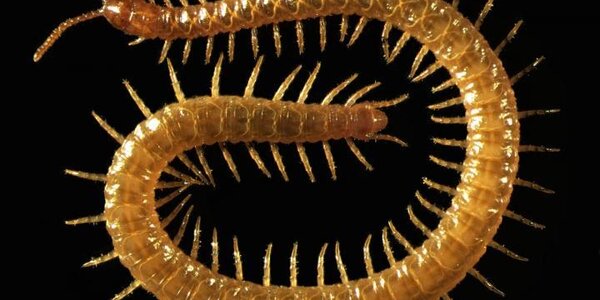 Article teaser image