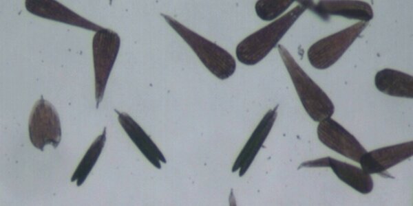 Article teaser image