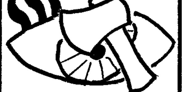 Article teaser image