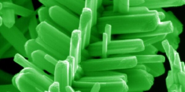 Article teaser image