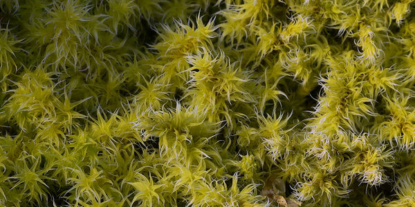 Article teaser image