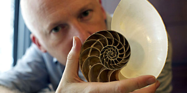 Article teaser image