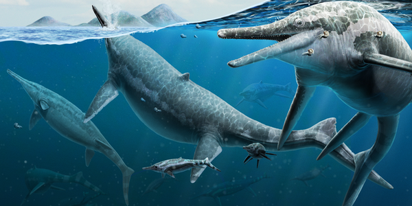 Article teaser image