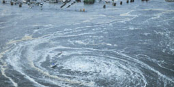 Article teaser image