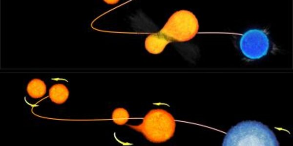 Article teaser image