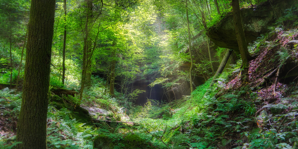 Article teaser image