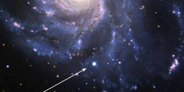 Article teaser image