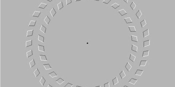 Article teaser image