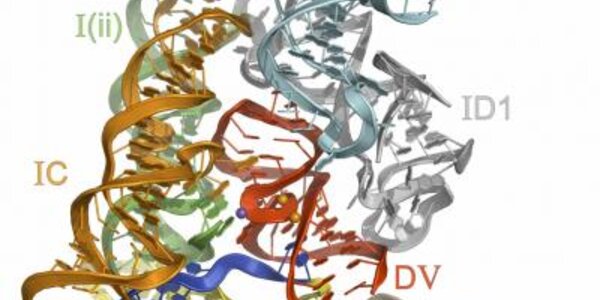 Article teaser image