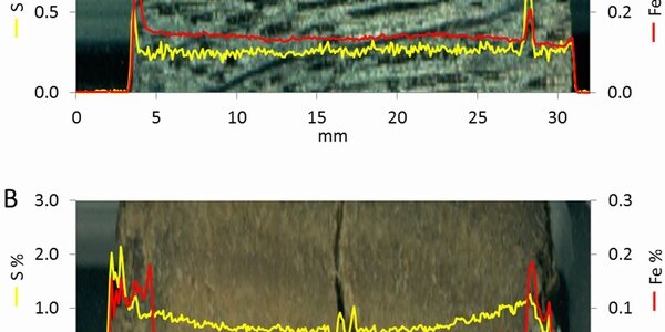 Article teaser image