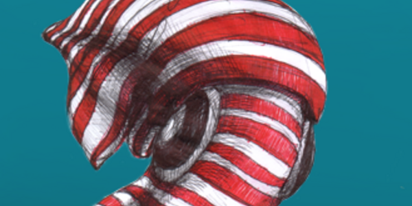 Article teaser image