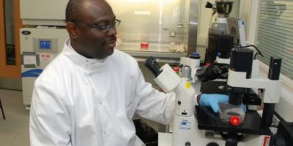 Article teaser image