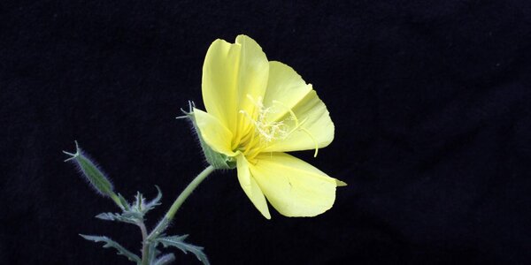 Article teaser image