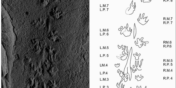 Article teaser image