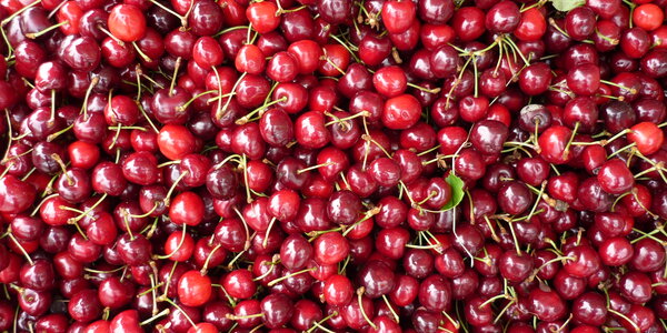 Article teaser image