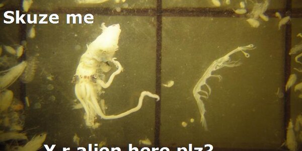 Article teaser image