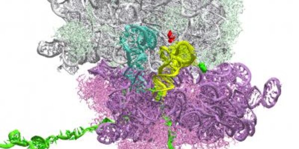 Article teaser image