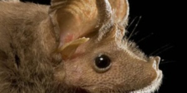 Article teaser image