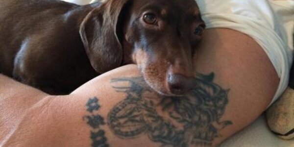 Article teaser image