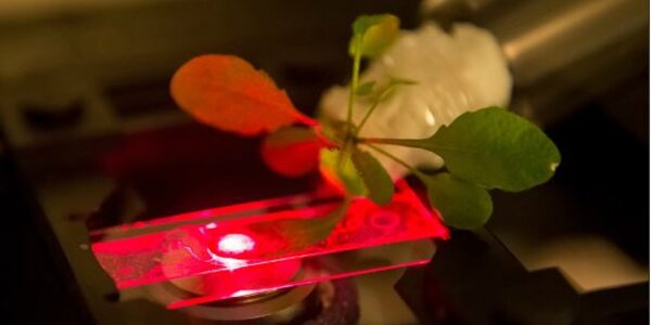 Article teaser image