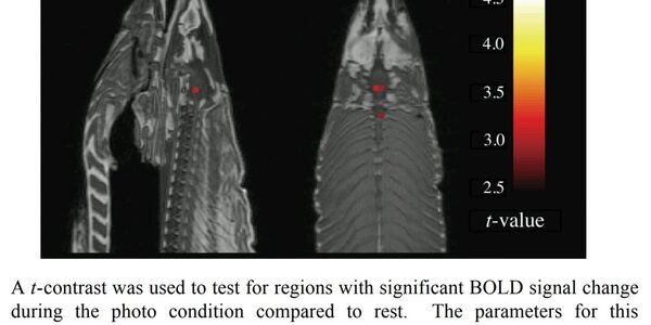 Article teaser image