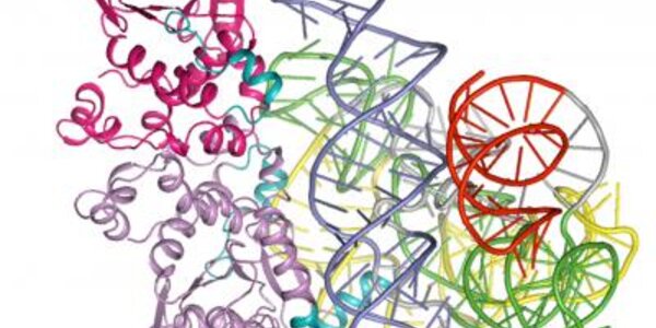 Article teaser image