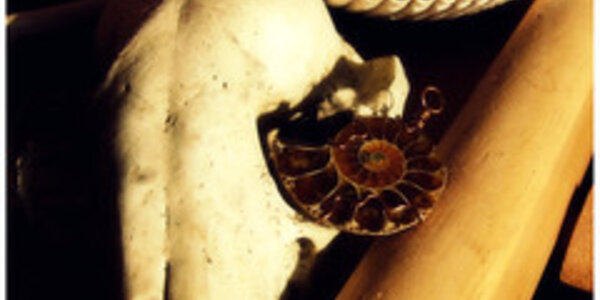 Article teaser image