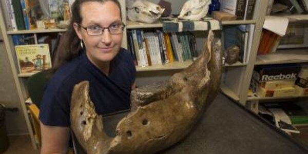 Article teaser image