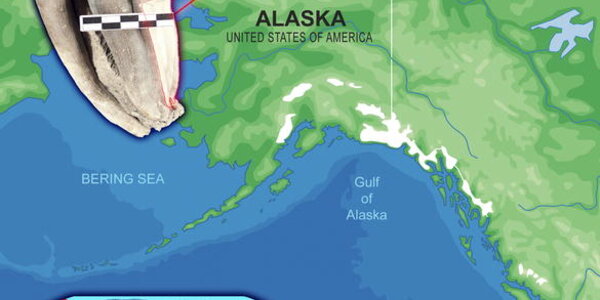 Article teaser image