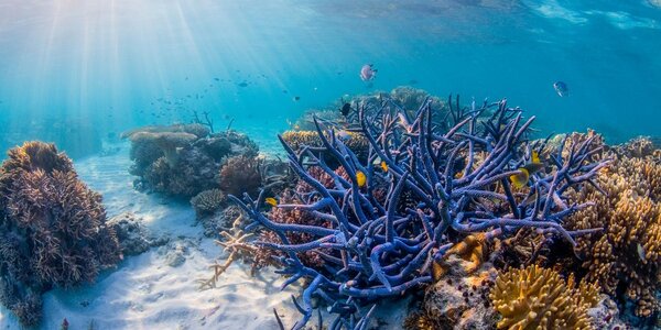 Article teaser image