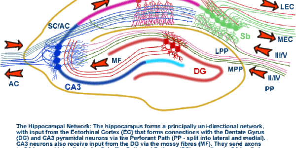 Article teaser image