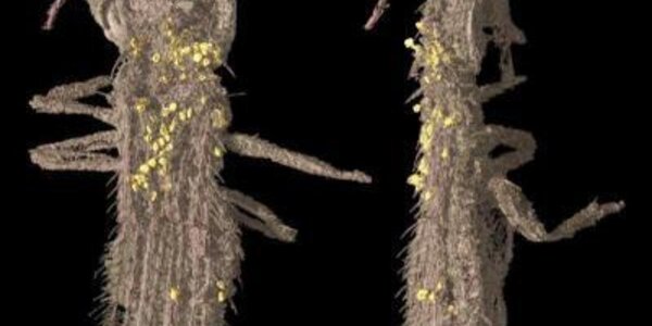 Article teaser image