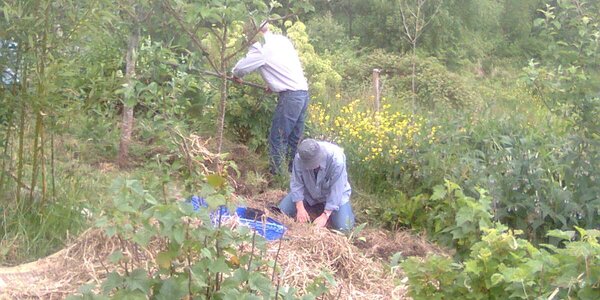 Article teaser image