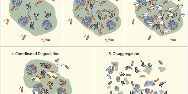 Article teaser image