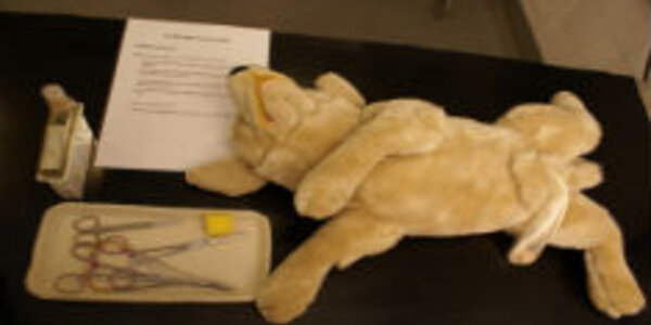 Article teaser image