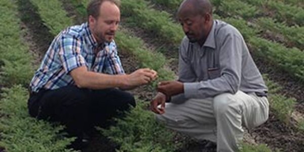 Article teaser image