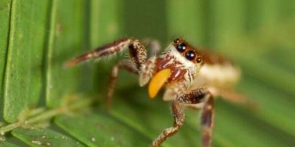 Article teaser image