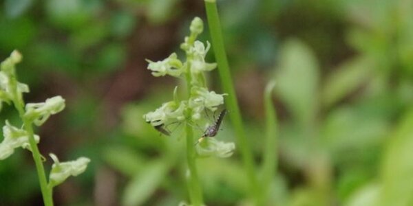 Article teaser image