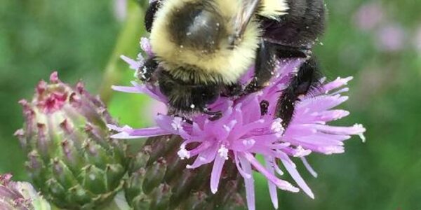 Article teaser image