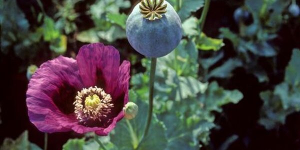 Article teaser image