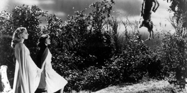 Article teaser image