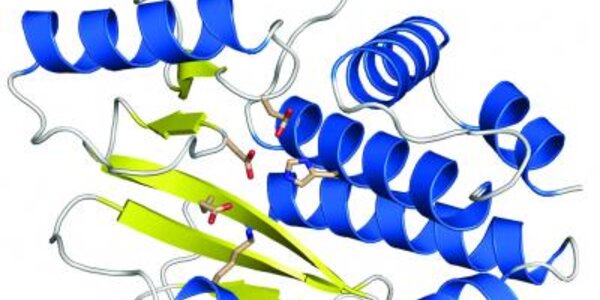 Article teaser image