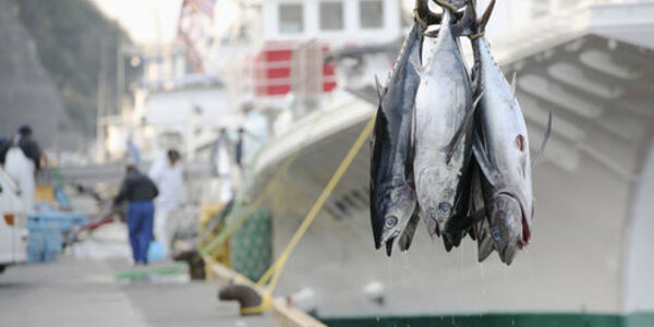 Article teaser image