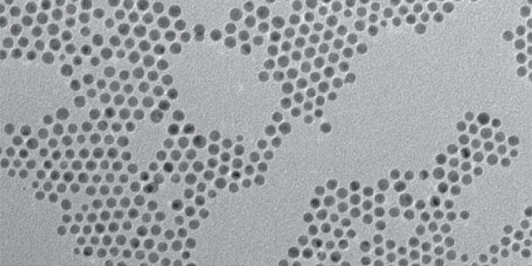 Article teaser image