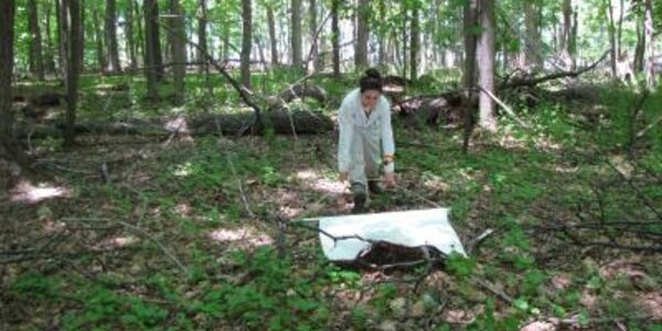 Article teaser image