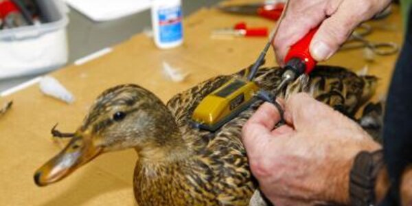 Article teaser image