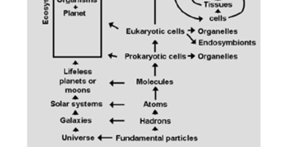Article teaser image