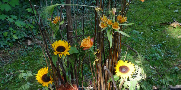 Article teaser image