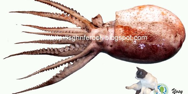 Article teaser image