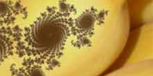 Article teaser image